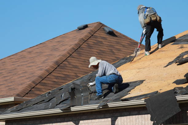 Best Roof Moss and Algae Removal  in Hartville, OH